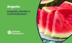 Anguria: proprietà, benefici e controindicazioni. Fette succose di anguria su un piatto, con testo informativo.