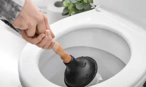 Hand mit Saugglocke versucht, eine verstopfte Toilette zu befreien.