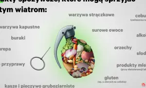 Granat wypełniony jedzeniem, symbolizujący produkty sprzyjające wiatrom i śmierdzącym gazom. Wśród nich warzywa, owoce, orzechy i gluten.