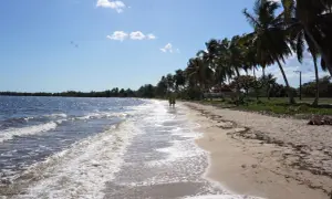 Piękna plaża, palmy, turkusowa woda. Idealne miejsce na wakacje. Kiedy jechać na Kubę? Teraz!
