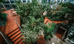 Wnętrze z mnóstwem zieleni, drewnianymi schodami i tarasami. Idealne miejsce na relaks w jednej z klimatycznych kawiarni w Gdańsku.