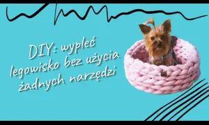 Jak zrobić legowisko dla psa z koca - proste i tanie rozwiązanie
