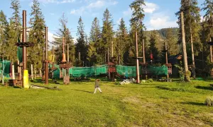 Gugu Park Linowy: Rodzinna zabawa? Sprawdź cennik i trasy!