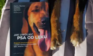 Librela dla psa: Czy to terapia na całe życie? Sprawdź!