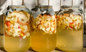 Drei Gläser mit Apfelschnitzen und Flüssigkeit, bereit, um Apfelessig selber zu machen.