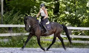 Jeździec w kasku i białej bluzce dosiada ciemnego konia na piaskowym podłożu. Trening w klubie jazdy konnej Fabrex.
