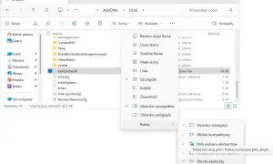 W Eksploratorze plików Windows, menu "Wyświetl" pokazuje opcje widoku. Wybrano "Szczegóły", a podmenu "Pokaż" zawiera opcje takie jak "Okienko nawigacji". Żądane zasoby są w użyciu.