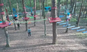 Park Linowy Zalesie Górne: Trasy, Ceny, Bezpieczeństwo Rodzinna Przygoda!