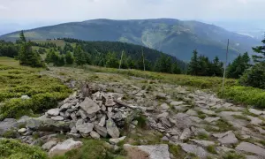 Kamienny szlak i stosy kamieni zapraszają do odkrywania międzylesie atrakcje. Góry i lasy tworzą malowniczy krajobraz.
