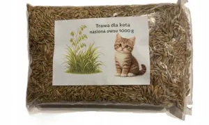 Owies dla kota: Bezpieczny dodatek? Sprawdź, zanim podasz!