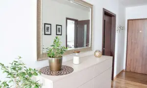 Soluzioni idee piccolo ingresso casa: specchio decorativo, cassettiera chiara, pianta verde e candela creano un'atmosfera accogliente.