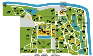 Mapa największego zoo w Polsce z zaznaczonymi wybiegami zwierząt, od lwów po pandy.