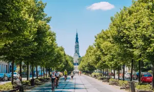 Aleja z drzewami prowadząca do Jasnej Góry, gdzie rowerzyści i piesi korzystają z uroków miasta. Częstochowa atrakcje w pełnym słońcu.