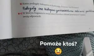 Komu podlegały biskupstwa w Kołobrzegu, Krakowie i Wrocławiu?