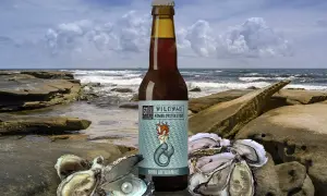Birra Wildwad Kombu Oyster Stout con ostriche e perla su scogli marini.