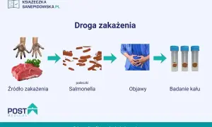Droga zakażenia Salmonellą: od surowego mięsa i brudnych rąk, przez bakterie, do objawów bólu brzucha i badań kału.