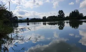 Spokojne łowisko Zawodzie. Lasy odbijają się w tafli wody, a chmury wiszą na błękitnym niebie.