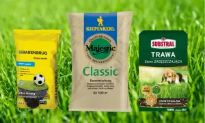Trzy opakowania nasion traw: Barenbrug, Kiepenkerl i Substral, na tle zielonej trawy.