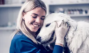 Veterinaria abraza a un perro blanco, brindando consuelo ante la ataxia en perros.