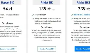 Twój BIK: Jak sprawdzić zadłużenie i co z niego wyczytać?