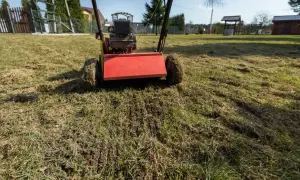 Wertykulator z czerwonym elementem pracuje na trawniku, usuwając filc. Idealny czas, kiedy wertykulować trawnik, to wiosna lub jesień.