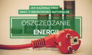 Oszczędzanie energii to klucz do dbania o środowisko. Czerwona wtyczka i stosy monet symbolizują mądre zarządzanie zużyciem prądu.