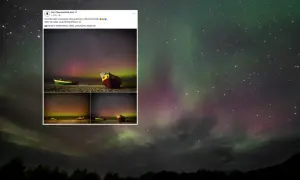 Niesamowita zorza w Polsce nad Bałtykiem, z łodziami na plaży. Zielone i fioletowe pasma tańczą na nocnym niebie.