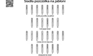 Pszczółka Maja nuty na flet prosty. Schematy palcowania dla melodii "Siadła pszczółka na jabłoni".