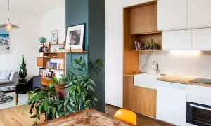 Piante rigogliose e una libreria in legno aiutano ad abbellire una colonna in questo soggiorno moderno con cucina a vista.