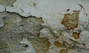 Superficie scrostata con macchie di muffa, pronta per essere trattata con acqua e aceto.