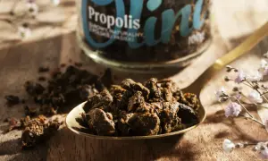 Łyżka pełna propolisu, ukazująca jego naturalne, zbite grudki. Słoik z napisem "Propolis" w tle podkreśla jego cenne właściwości.