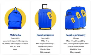 Bagaż rejestrowany: Co to? Limity, zasady i co spakować
