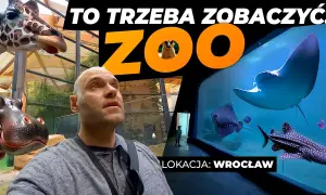 Czy afrykarium i oceanarium to to samo? Poznaj zaskakujące różnice