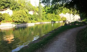 Sentiero lungo il canale, ideale per la ciclabile Peschiera Mantova. Vegetazione lussureggiante e riflessi sull'acqua.