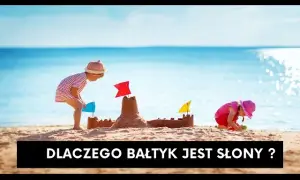 Dlaczego Bałtyk jest słony? Odkryj zaskakujące przyczyny salinity