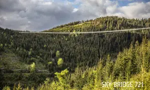 Długa, wisząca konstrukcja Sky Bridge 721 przecina gęsty, zielony las na zboczu góry.