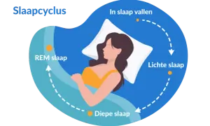 Illustratie van een vrouw die slaapt, met de slaapcyclus: in slaap vallen, lichte slaap, diepe slaap en REM slaap. Zelfs met 5 uur slaap doorloopt het lichaam deze fasen.