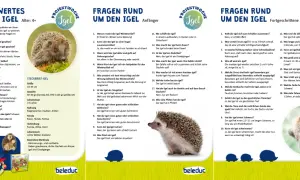 Ein niedlicher Igel sitzt auf einer Hand, umgeben von Informationen über den Igel-Kindergarten und Fragen rund um den Igel.