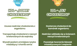 Jak obliczyć cholesterol LDL i uniknąć problemów zdrowotnych