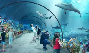 Podwodny tunel w oceanarium Niechorze, gdzie zwiedzający podziwiają rekiny i kolorowe ryby.