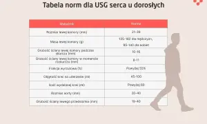 Tabela norm dla USG serca u dorosłych, prezentująca wskaźniki takie jak rozmiar i masa lewej komory, frakcja wyrzutowa. Wyniki badań echo serca porównuje się z tymi normami.