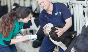 Ile zarabia pracownik lombardu? Zaskakujące fakty o wynagrodzeniach