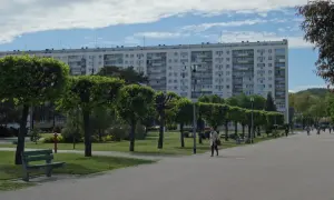 Spacerem po Gdańsku Żabiance, wzdłuż alei drzew i zieleni, podziwiając architekturę bloków mieszkalnych.