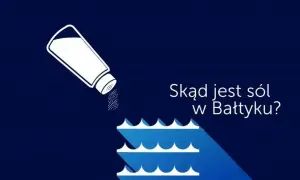 Jakie jest zasolenie Bałtyku? Zaskakujące różnice i przyczyny