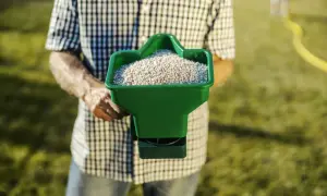 Mężczyzna w kratę trzyma zielony rozsiewacz z nawozem, gotowy do pracy. To kluczowy krok, jak siać trawę na starym trawniku, by odzyskał dawny blask.