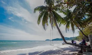 Huśtawka na palmie na plaży, idealne miejsce na relaks. Phu Quoc atrakcje to raj dla turystów.