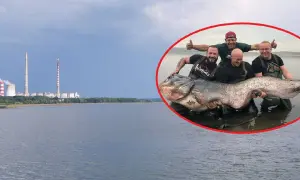 Wędkarze z dumą prezentują gigantycznego suma złowionego w Zalewie Rybnickim. W tle elektrownia.