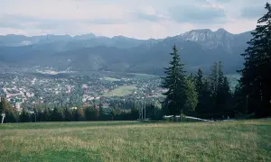 Widok na Tatry z górskiej łąki, z miastem w dolinie i lasem po prawej.