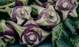 Kupka fioletowo-zielonych kalarep. Czy pies może jeść kalarepę? Tak, w umiarkowanych ilościach.