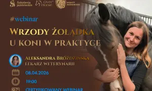 Webinar o wrzodach żołądka u koni. Aleksandra Bróżdzińska, lek. wet. Zapraszamy do **equestro centrum szkolenia jeździeckiego**.